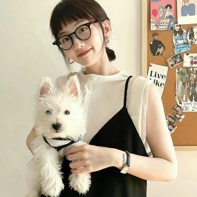 戴洛奇小镇第一季